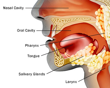 Head Neck Cancer Surgeon in Delhi