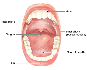 Oral Cancer Surgeon in west delhi